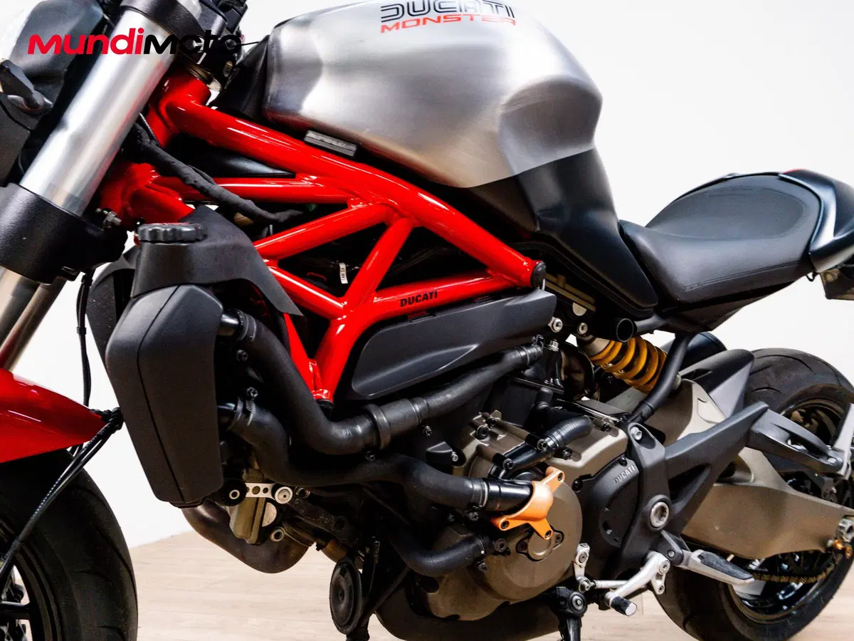 Ducati Monster 821 (2018 - 20) (9)
