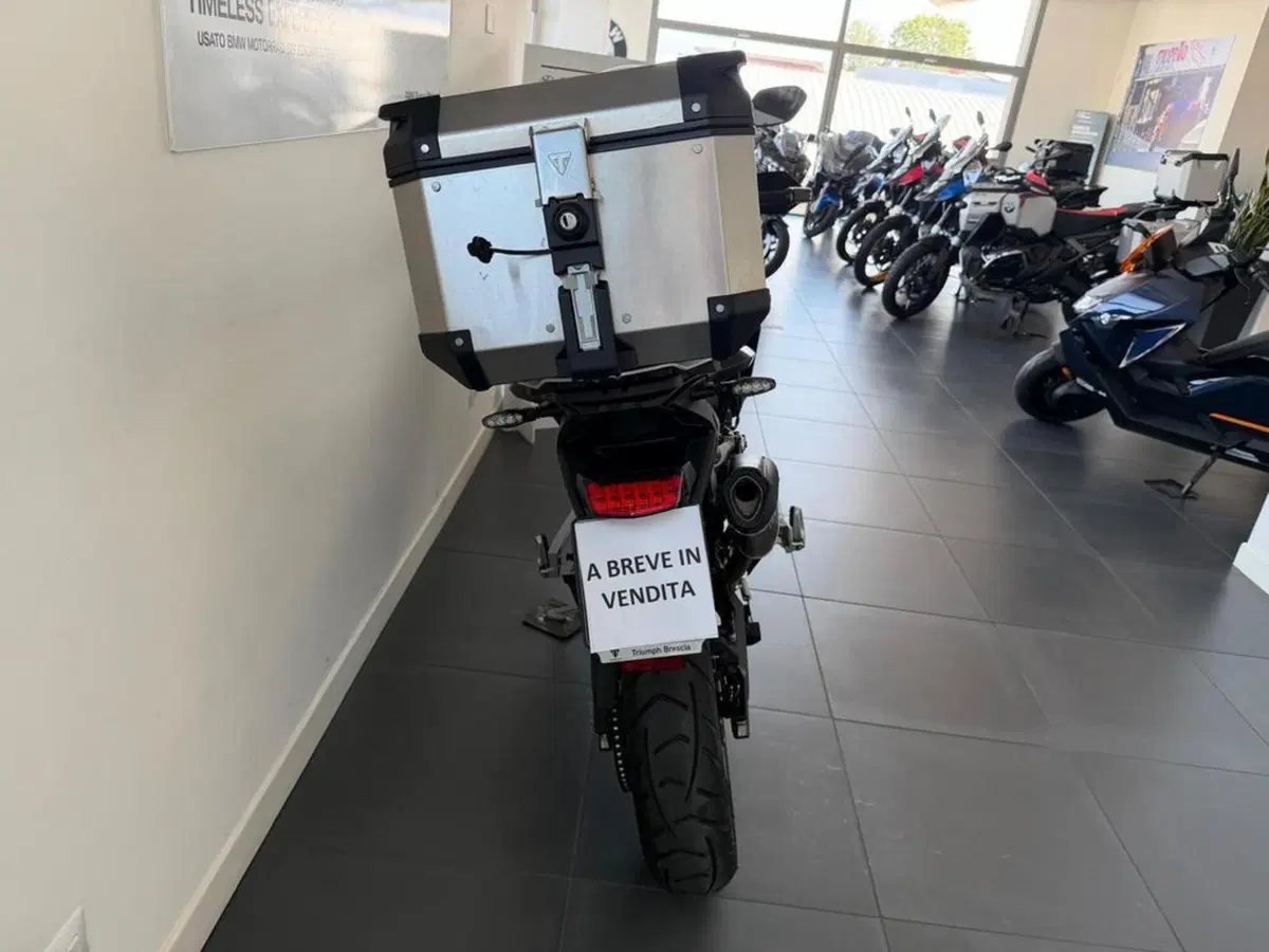 Triumph Tiger 900 GT Pro (2024 - 26) (5)