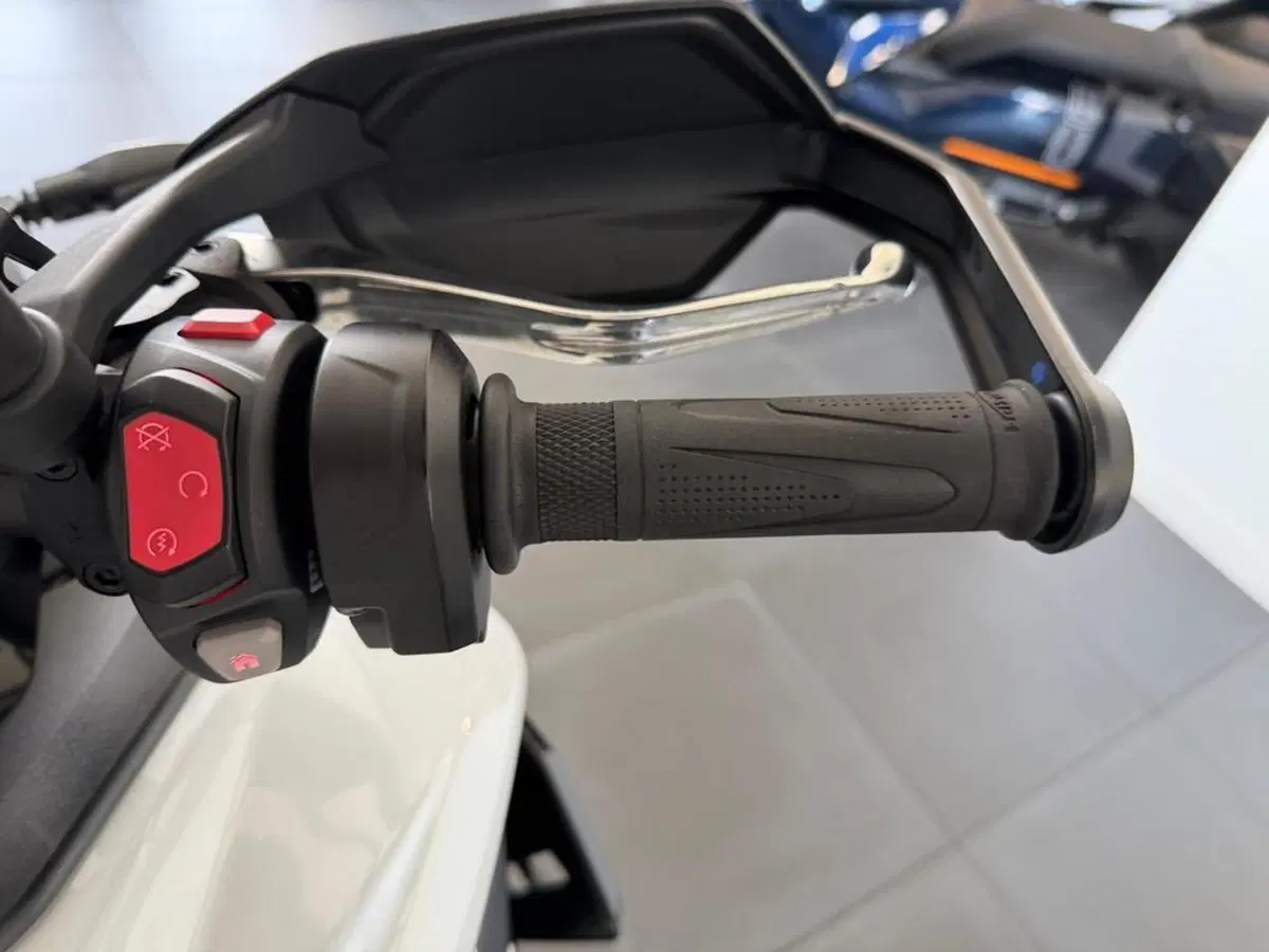 Triumph Tiger 900 GT Pro (2024 - 26) (6)