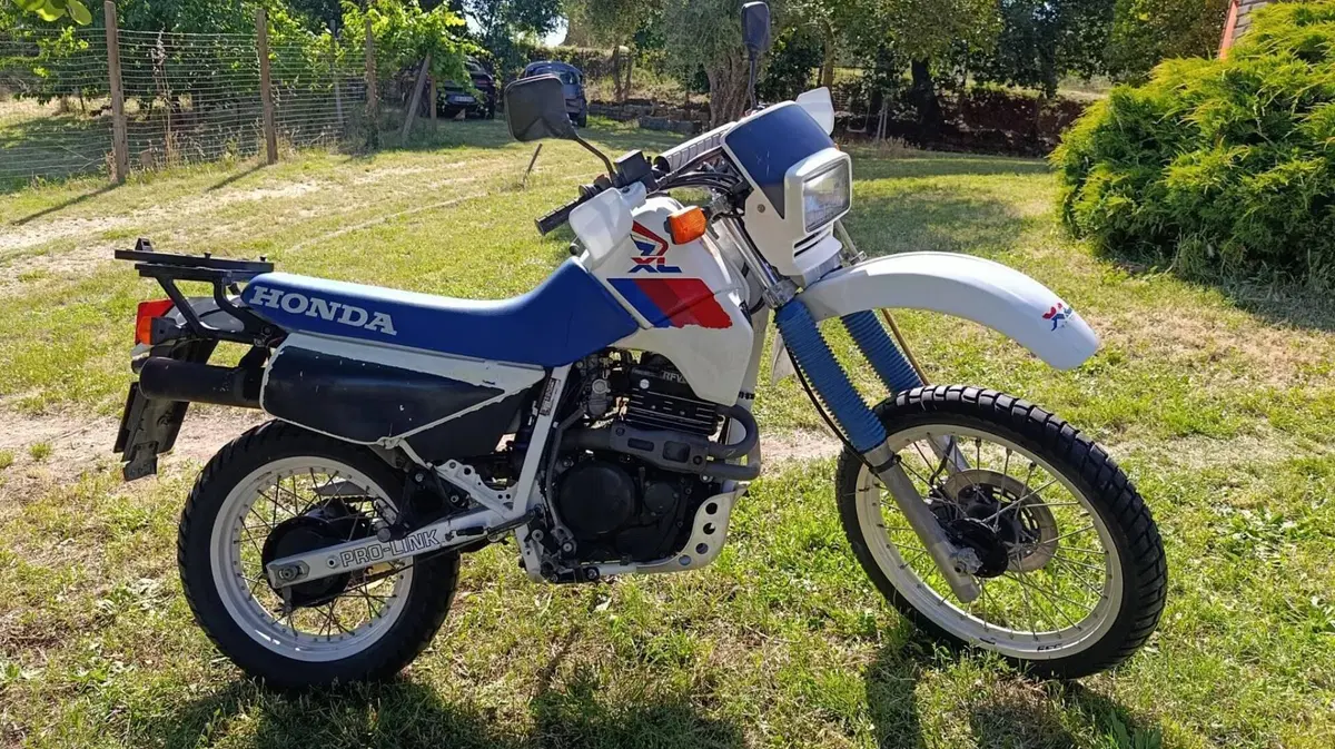 Honda XL600 (4)
