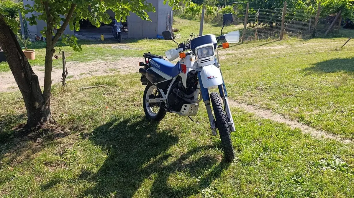 Honda XL600 (5)