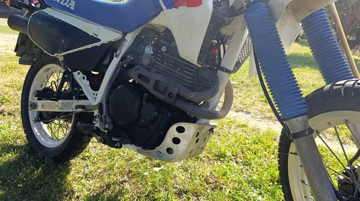 Honda XL600 (7)