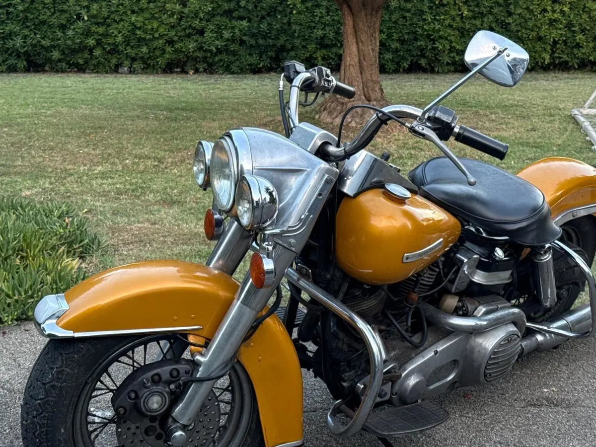 Harley-Davidson FLH 1200 Shovel Electra Glide (2)
