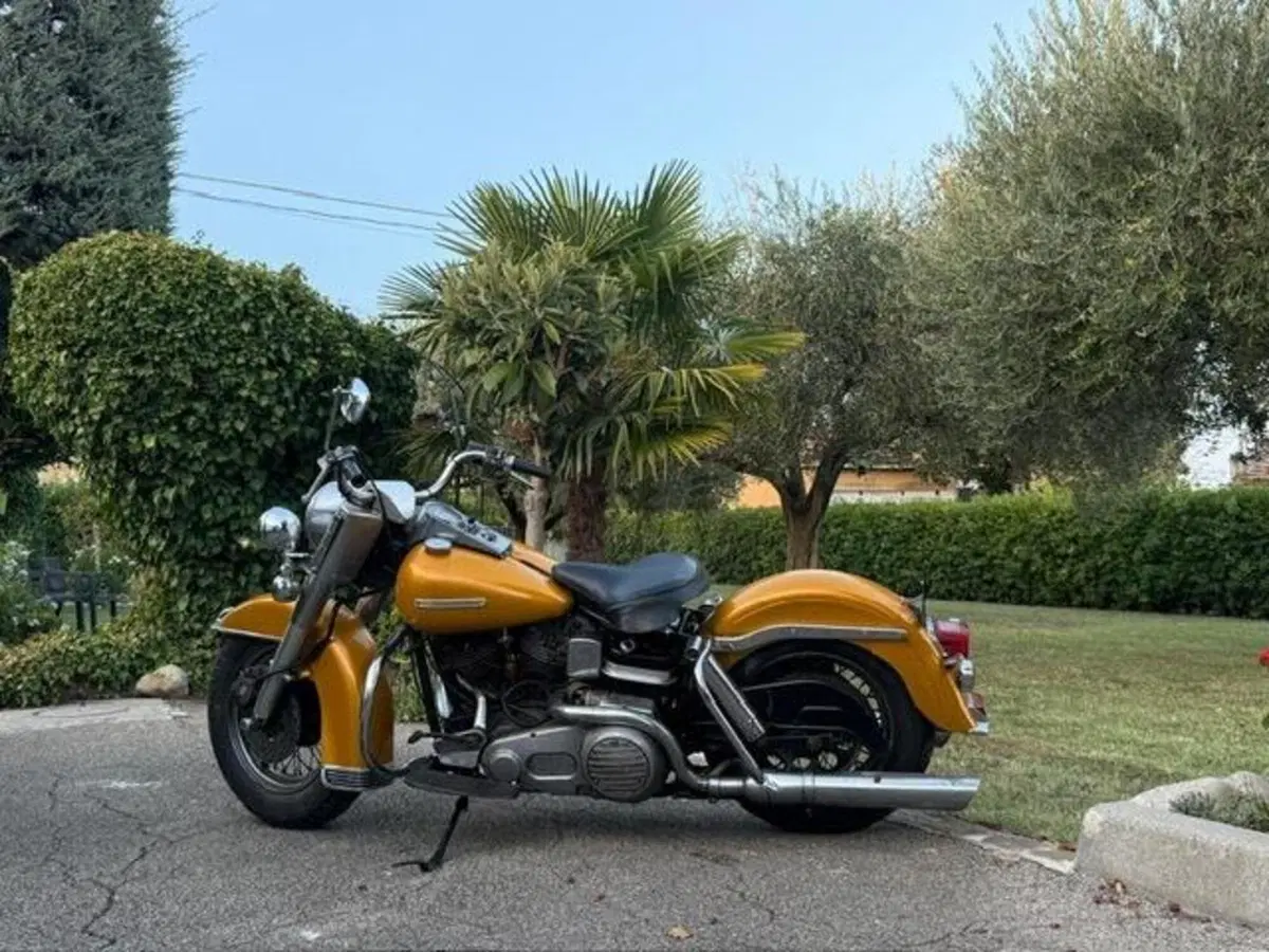 Harley-Davidson FLH 1200 Shovel Electra Glide (3)