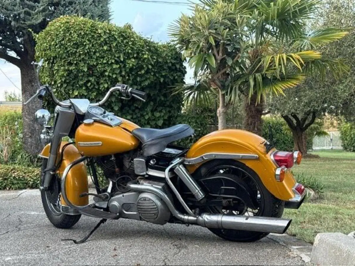 Harley-Davidson FLH 1200 Shovel Electra Glide (4)