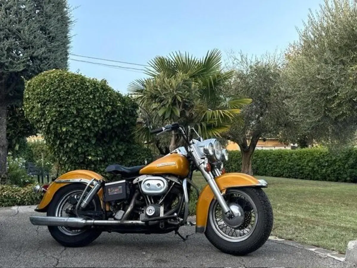 Harley-Davidson FLH 1200 Shovel Electra Glide (6)