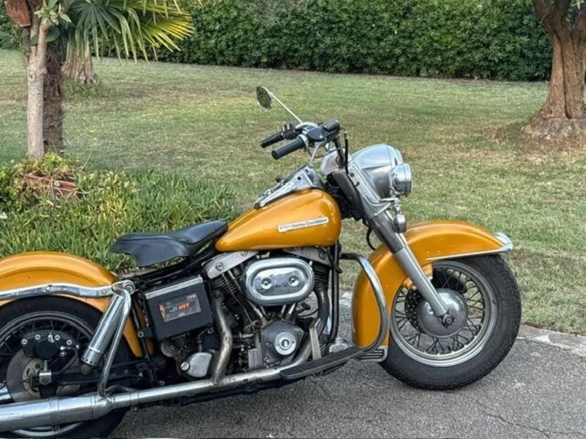 Harley-Davidson FLH 1200 Shovel Electra Glide (8)