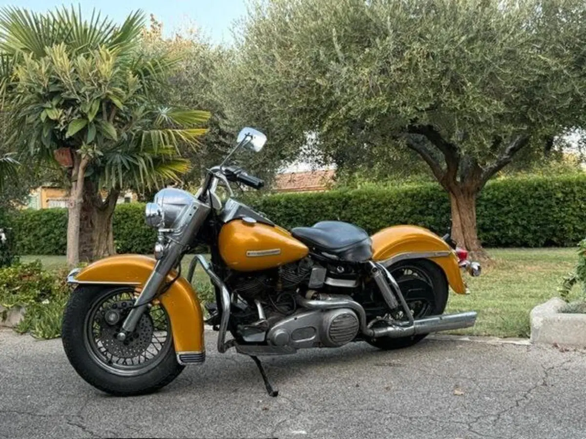 Harley-Davidson FLH 1200 Shovel Electra Glide (9)