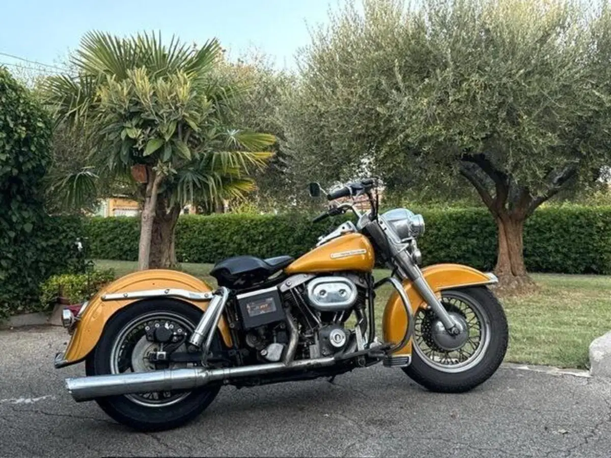 Harley-Davidson FLH 1200 Shovel Electra Glide (10)