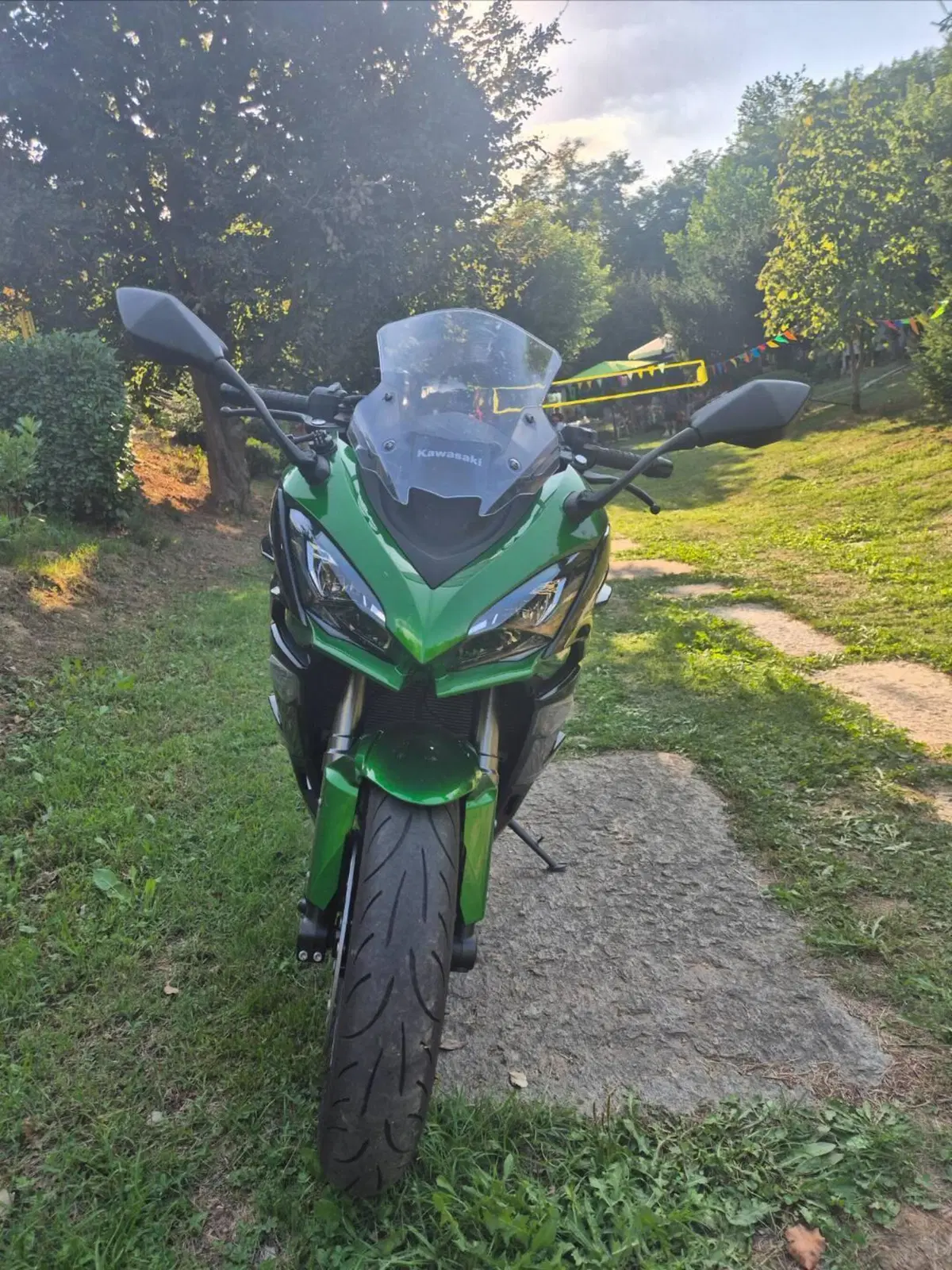 Kawasaki Ninja 1000 SX (2021 - 24) (4)