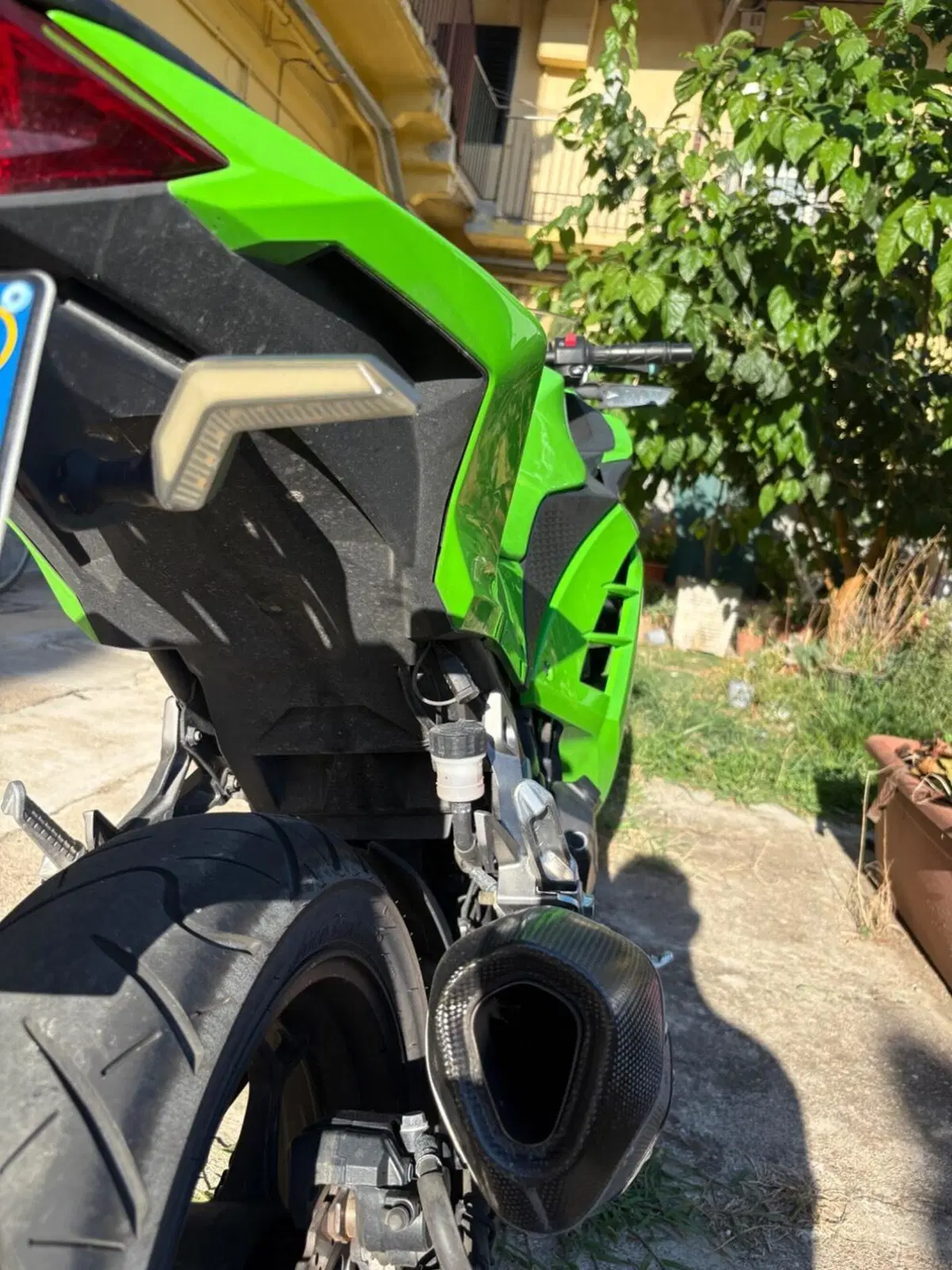 Kawasaki Ninja 300 ABS (2012 - 16) (2)