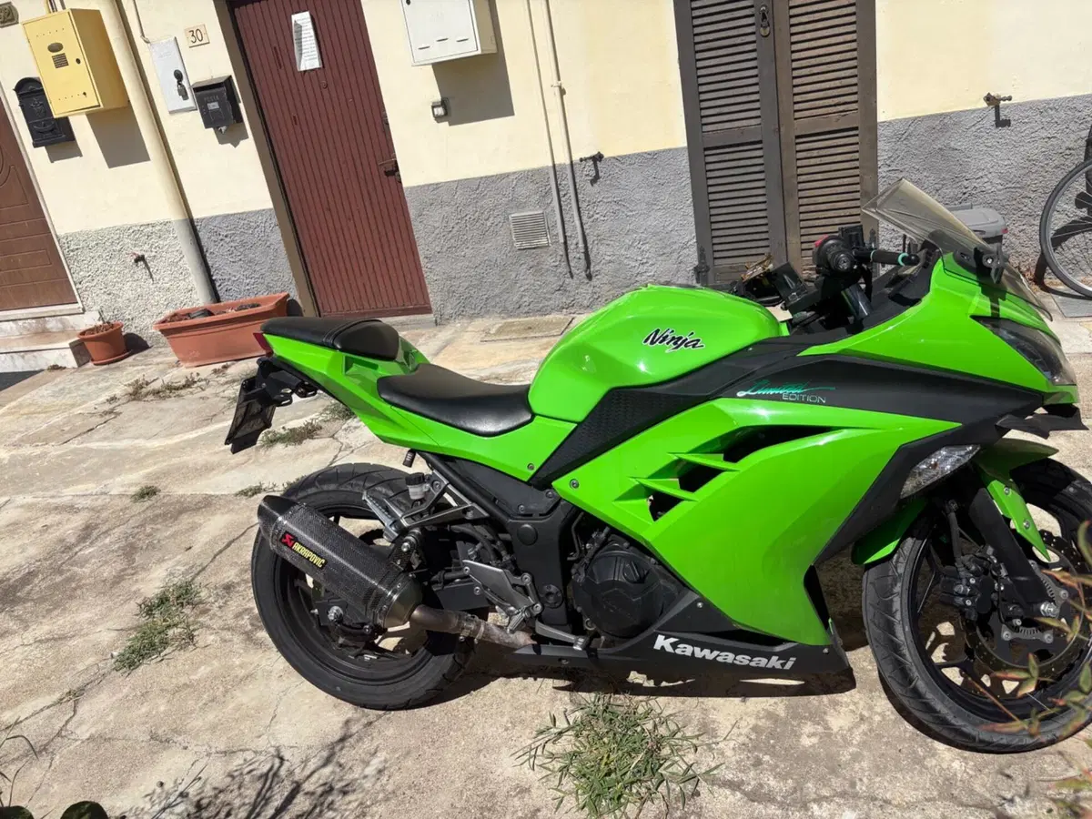 Kawasaki Ninja 300 ABS (2012 - 16) (3)