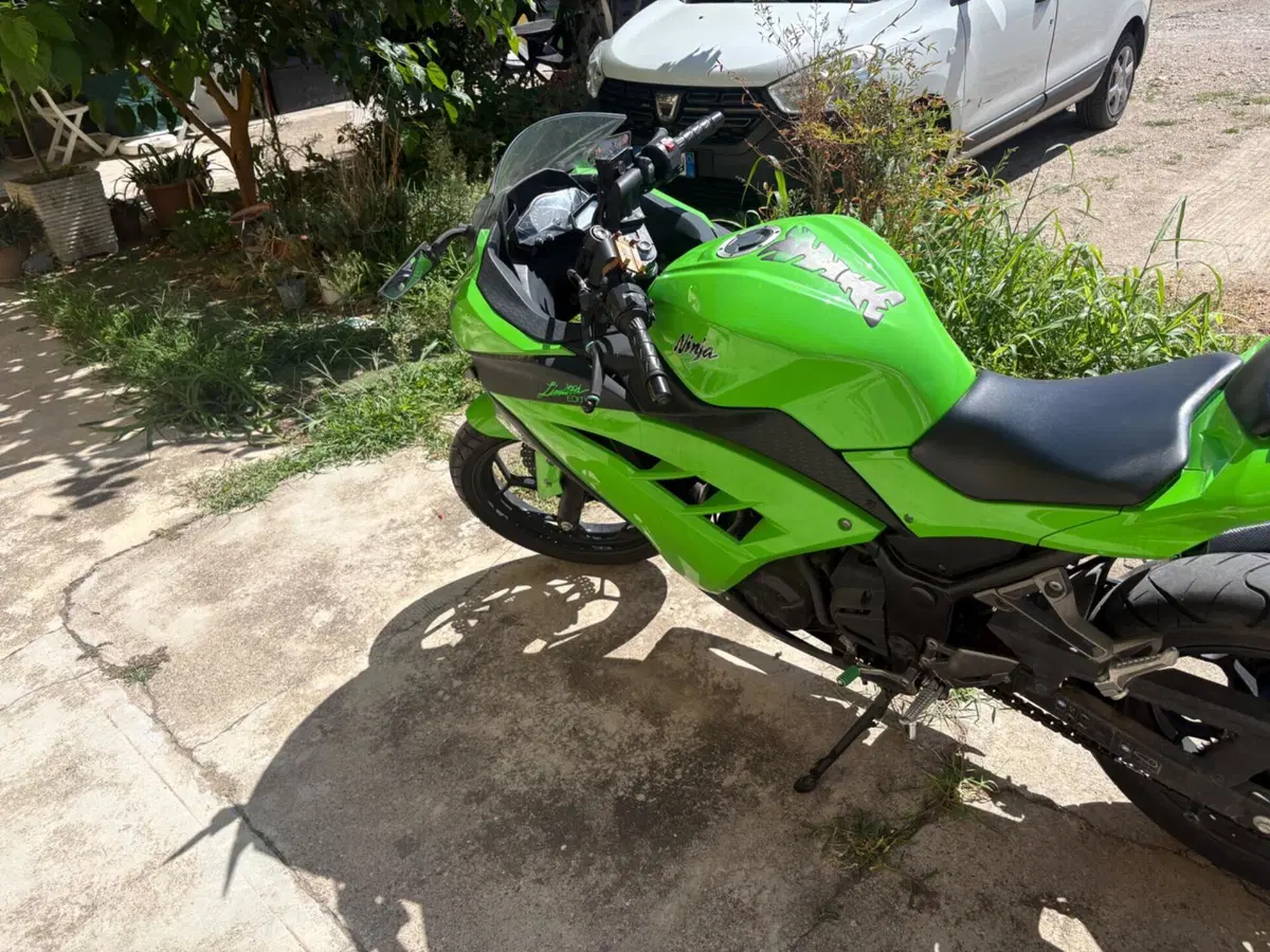 Kawasaki Ninja 300 ABS (2012 - 16) (5)