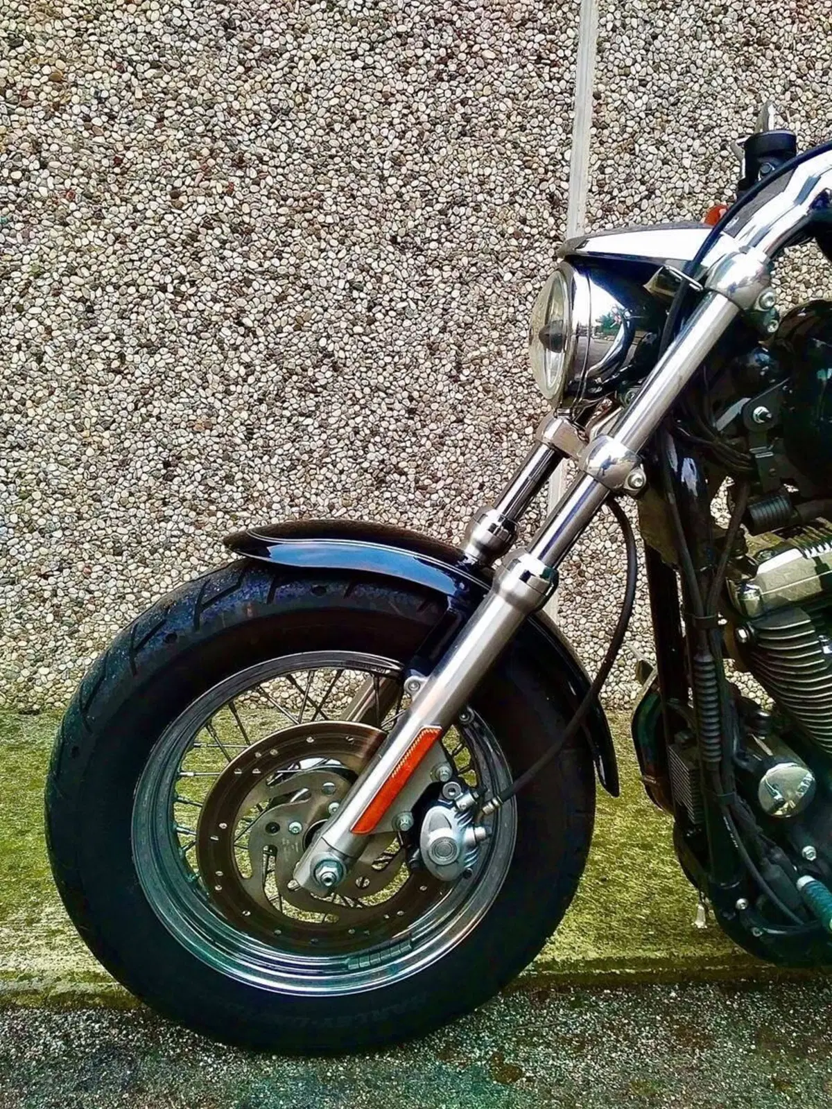 Harley-Davidson 1200 Custom (2007 - 13) - XL 1200C (12)