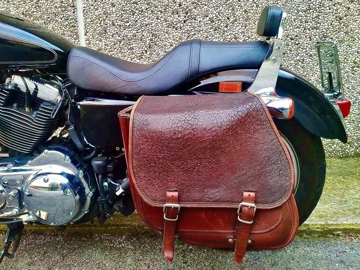 Harley-Davidson 1200 Custom (2007 - 13) - XL 1200C (14)
