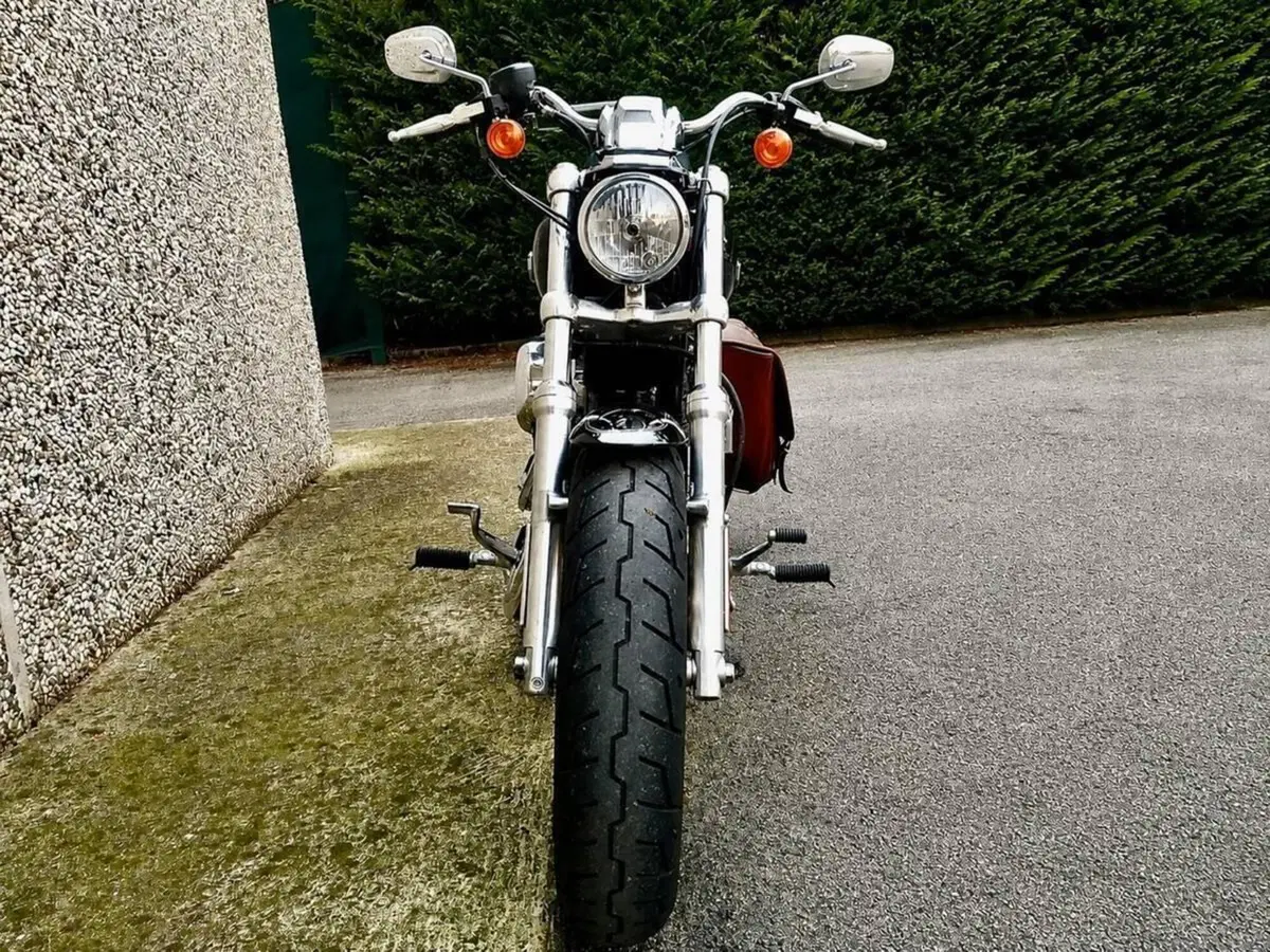 Harley-Davidson 1200 Custom (2007 - 13) - XL 1200C (3)