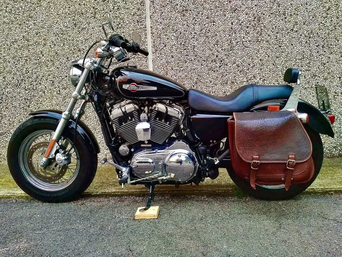 Harley-Davidson 1200 Custom (2007 - 13) - XL 1200C (5)