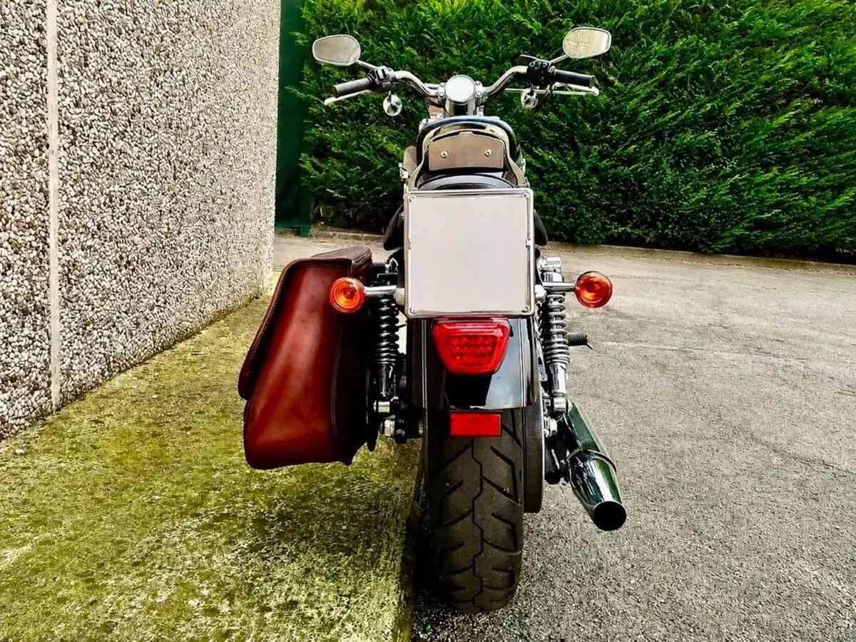 Harley-Davidson 1200 Custom (2007 - 13) - XL 1200C (7)
