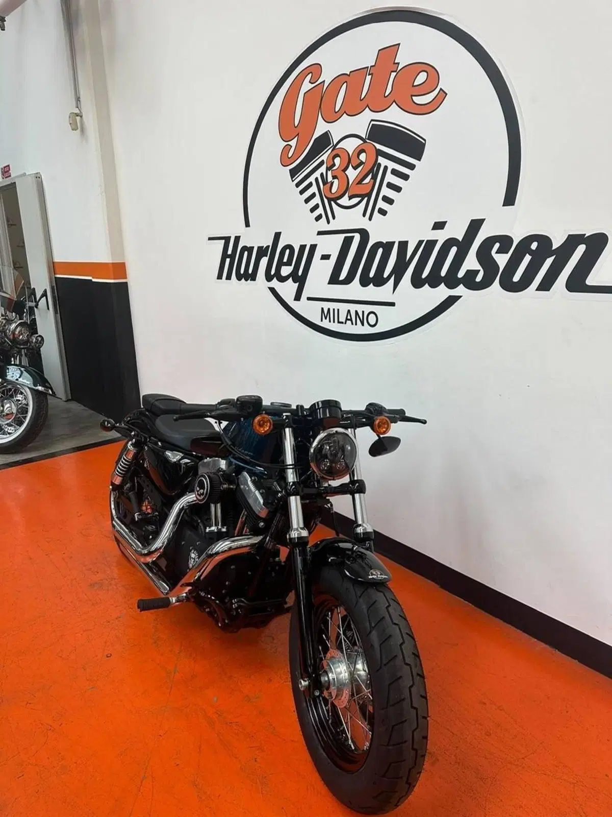 Harley-Davidson 1200 Forty-Eight (2010 - 15) (2)