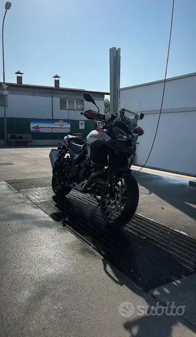 Morbidelli T1002VX (2024 - 26) usata