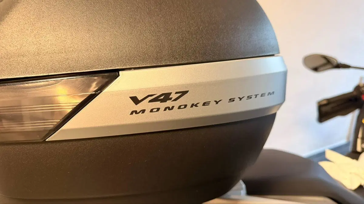 Bmw G 310 GS Edition 40 Years GS (2021) (18)