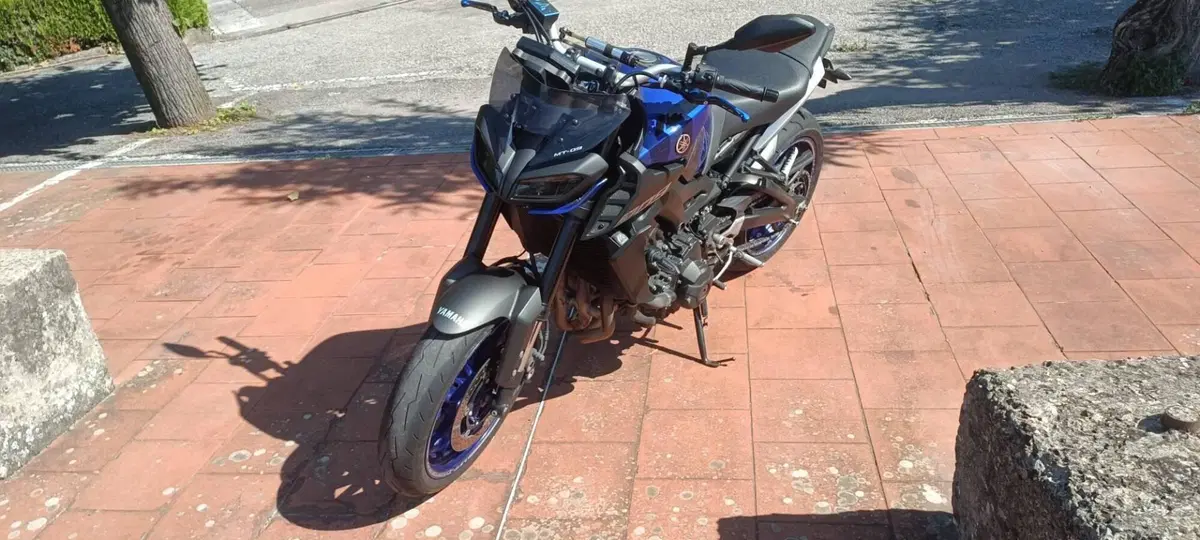 Yamaha MT-09 (2017 - 20) (3)