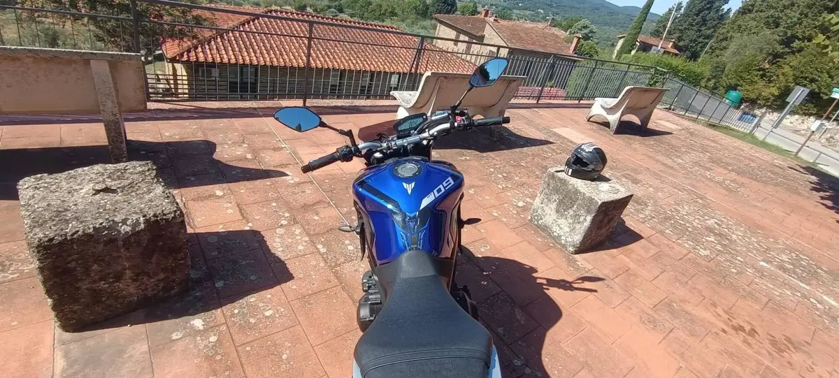 Yamaha MT-09 (2017 - 20) (5)