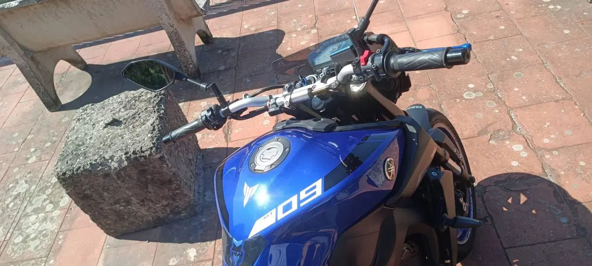 Yamaha MT-09 (2017 - 20) (7)