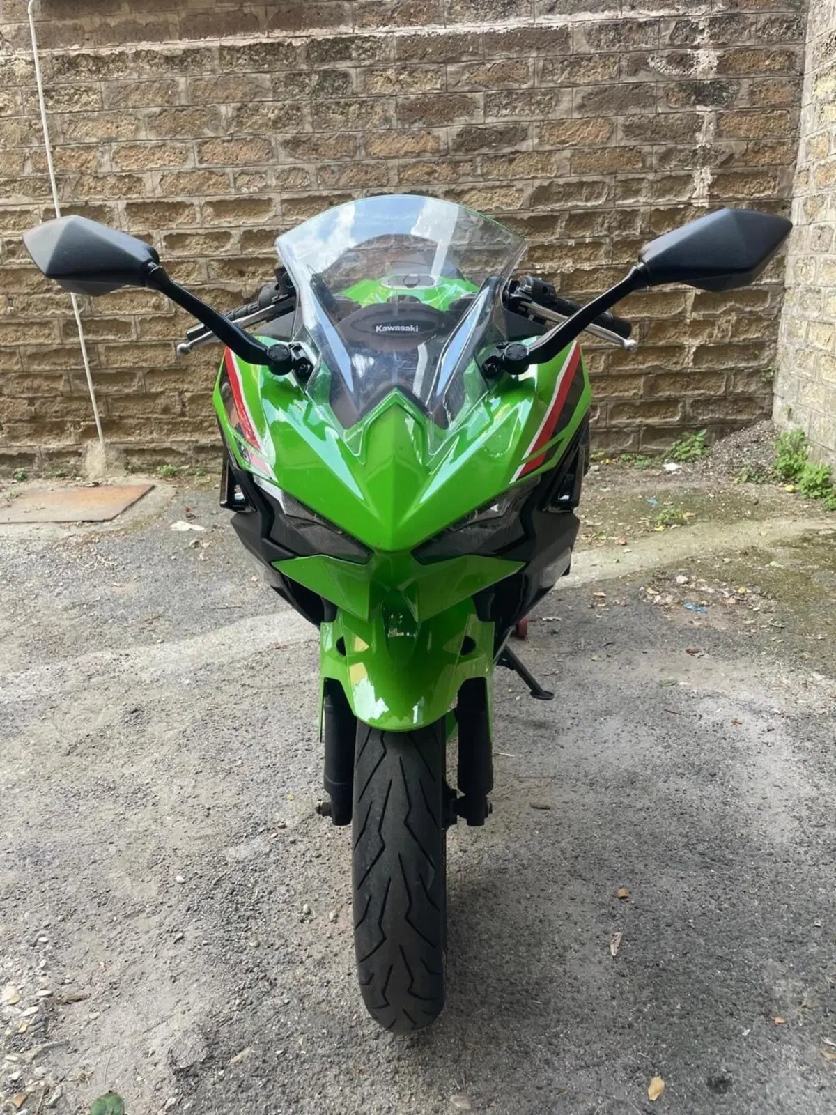 Kawasaki Ninja 500 SE (2024 - 26) (4)