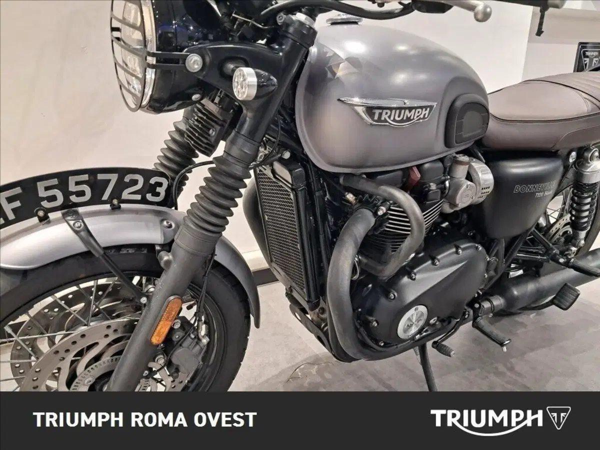 Triumph Bonneville T120 (2016 - 20) (16)