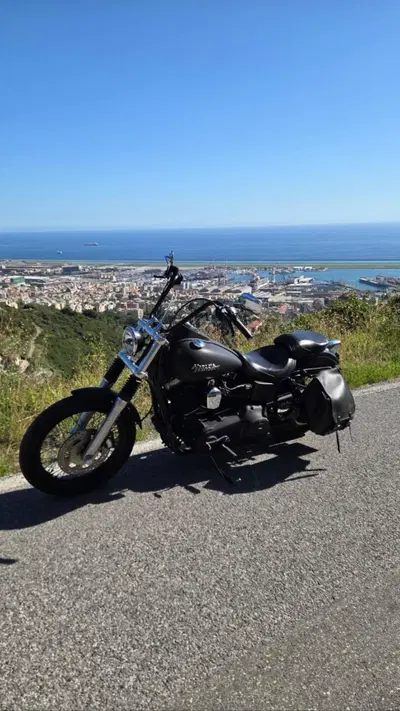 Harley-Davidson 1584 Street Bob (2008 - 15) - FXDB usata
