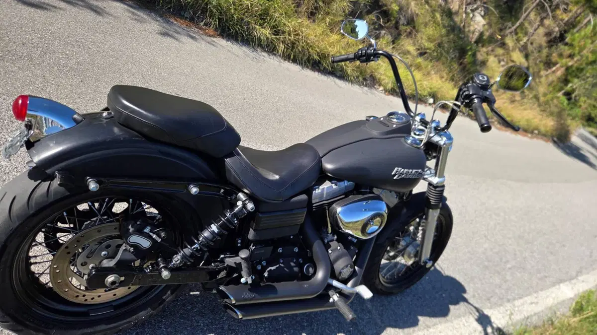 Harley-Davidson 1584 Street Bob (2008 - 15) - FXDB (2)