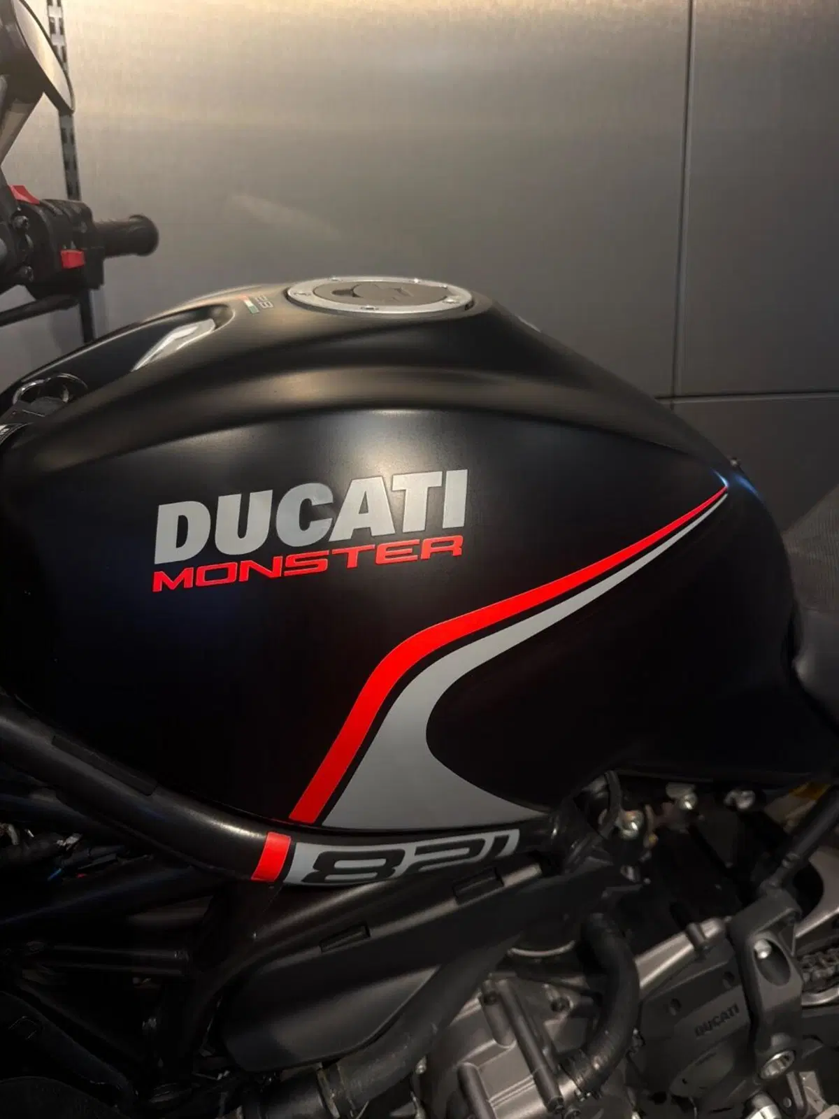 Ducati Monster 821 Stealth (2019 - 20) (3)