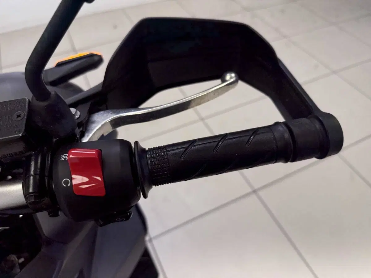 Honda ADV 350 (2022 - 24) (12)