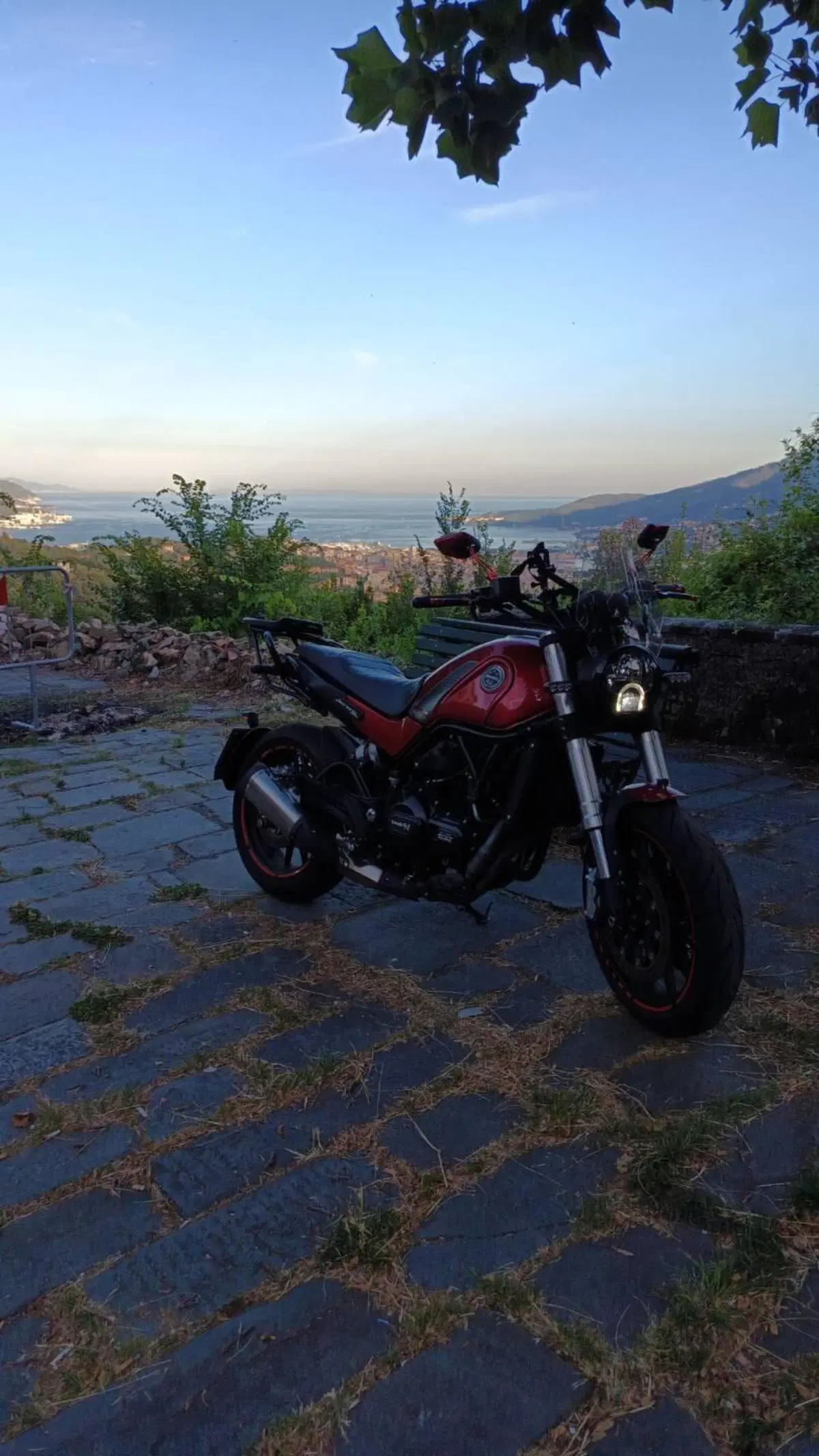 Benelli Leoncino 500 ABS (2017 - 20) (3)