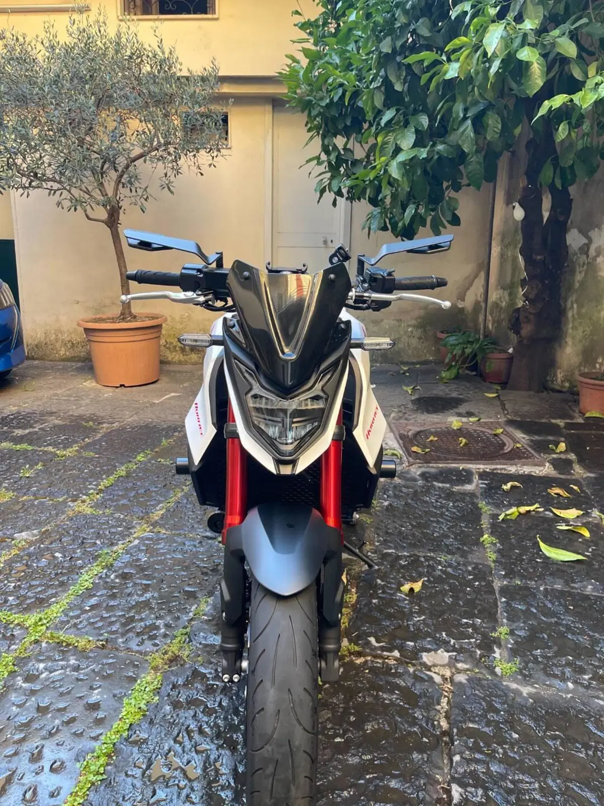Honda CB 750 Hornet (2023 - 24) (5)