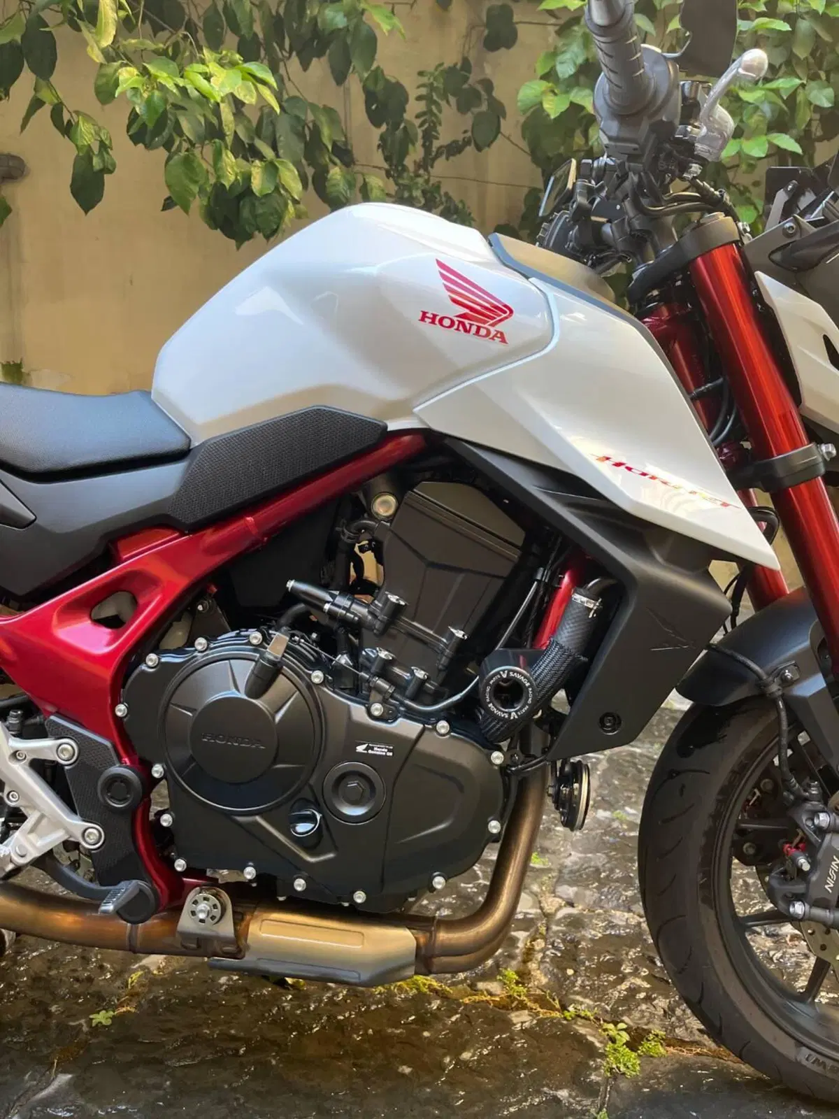 Honda CB 750 Hornet (2023 - 24) (3)