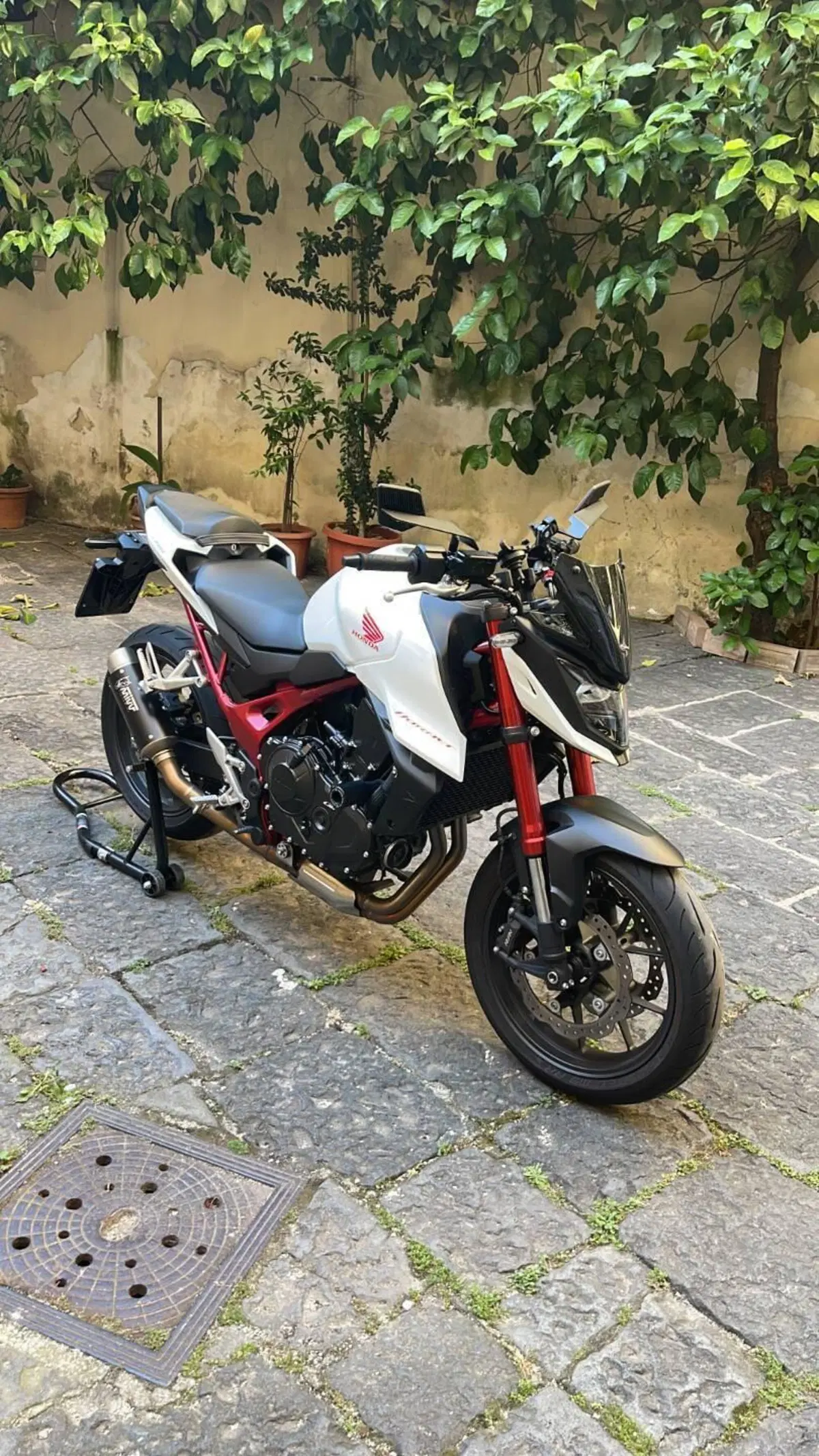 Honda CB 750 Hornet (2023 - 24) (2)