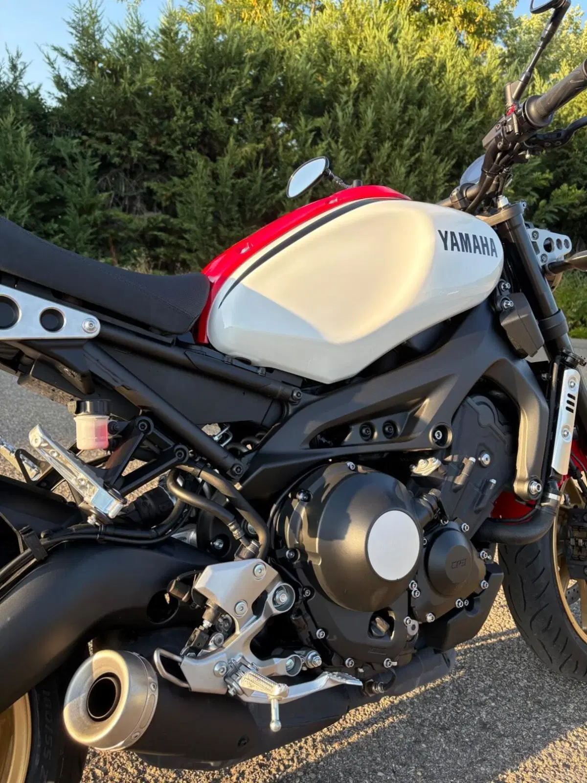 Yamaha XSR 900 ABS (2016 - 20) (3)