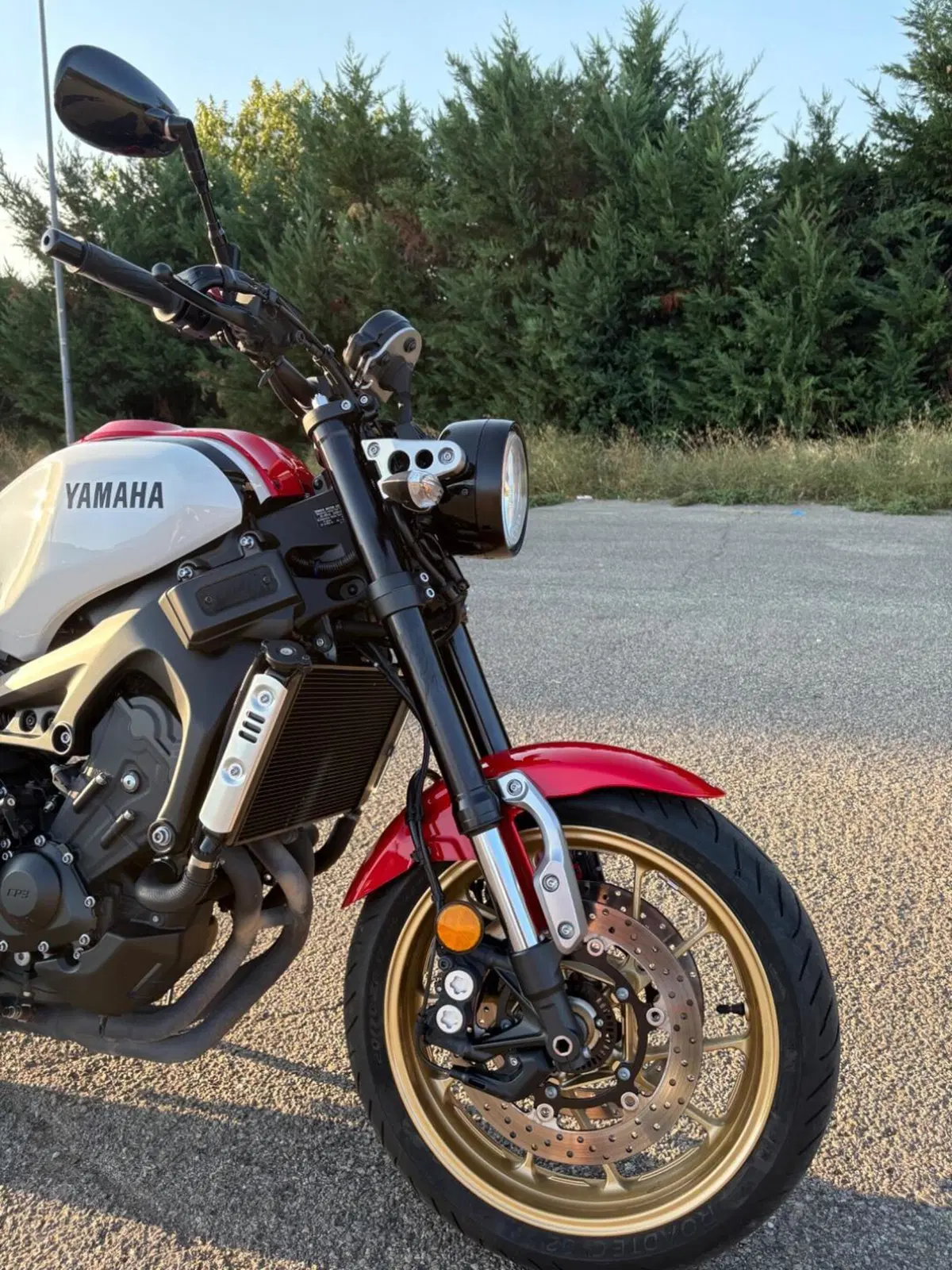 Yamaha XSR 900 ABS (2016 - 20) (5)