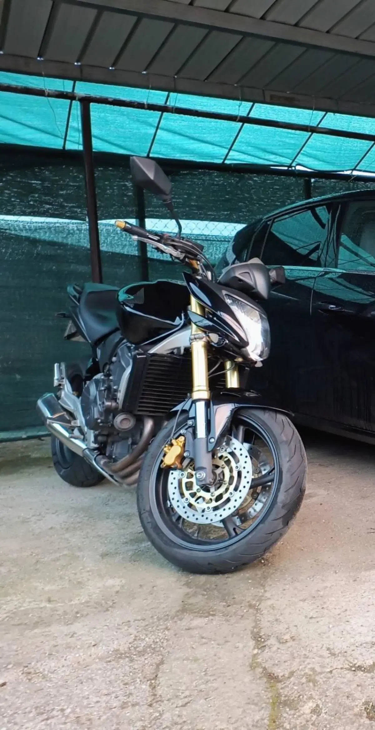 Honda Hornet 600 (2007 - 10)