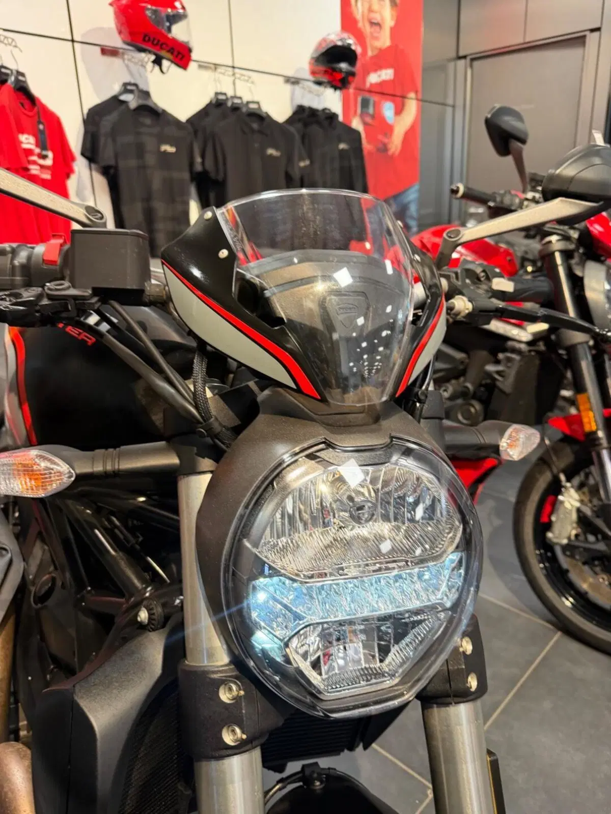 Ducati Monster 821 Stealth (2019 - 20) (9)