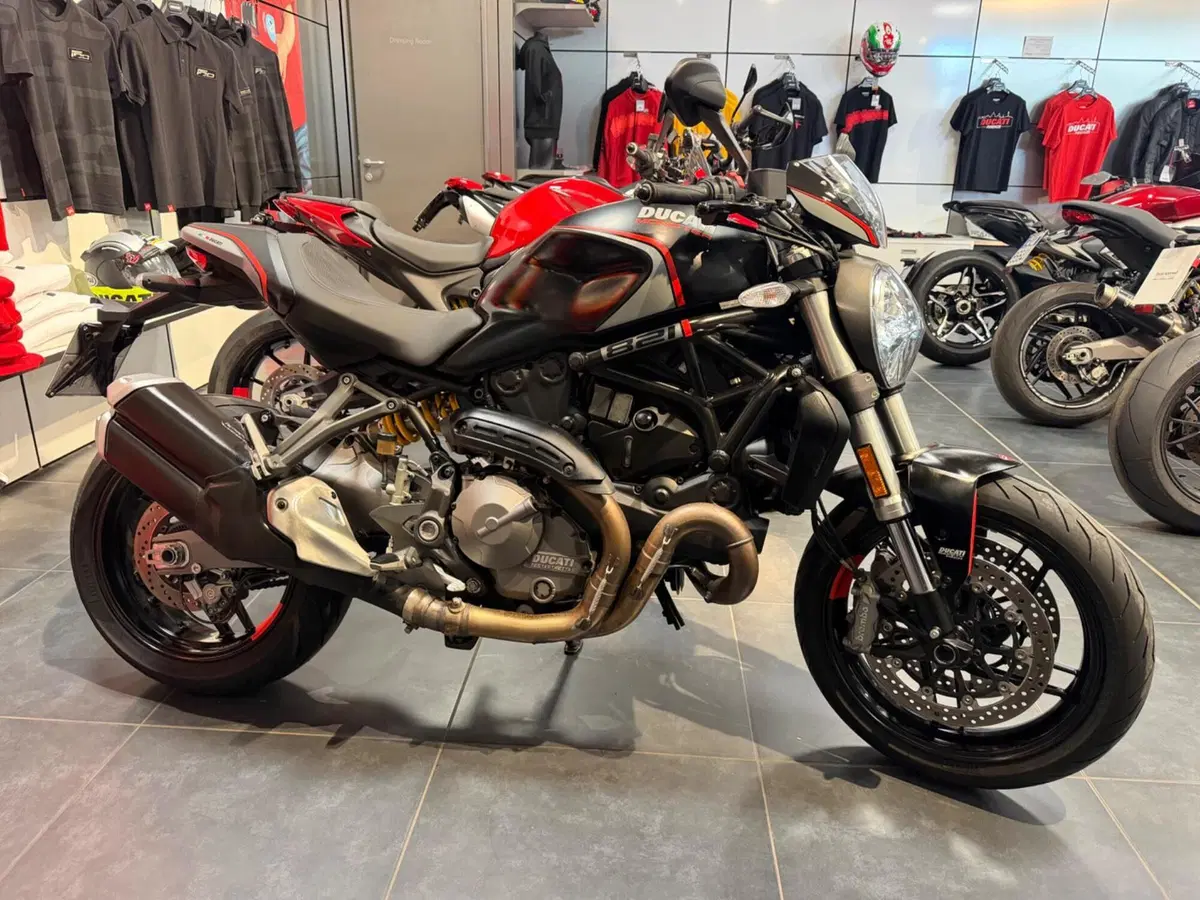 Ducati Monster 821 Stealth (2019 - 20) (11)