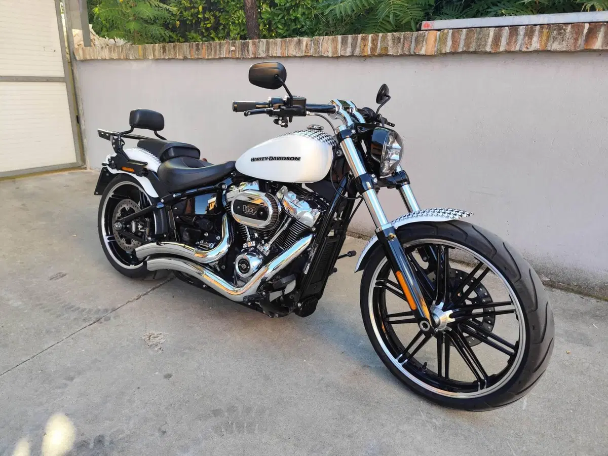 Harley-Davidson 114 Breakout (2018 - 20) - FXBRS (2)