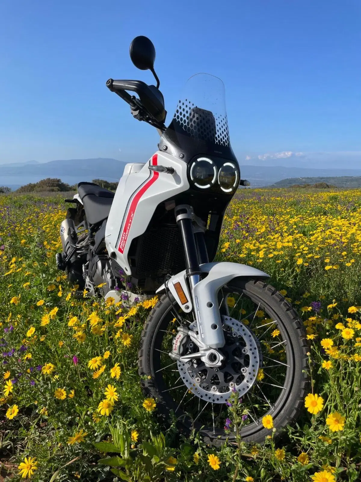 Ducati DesertX (2022 - 25)