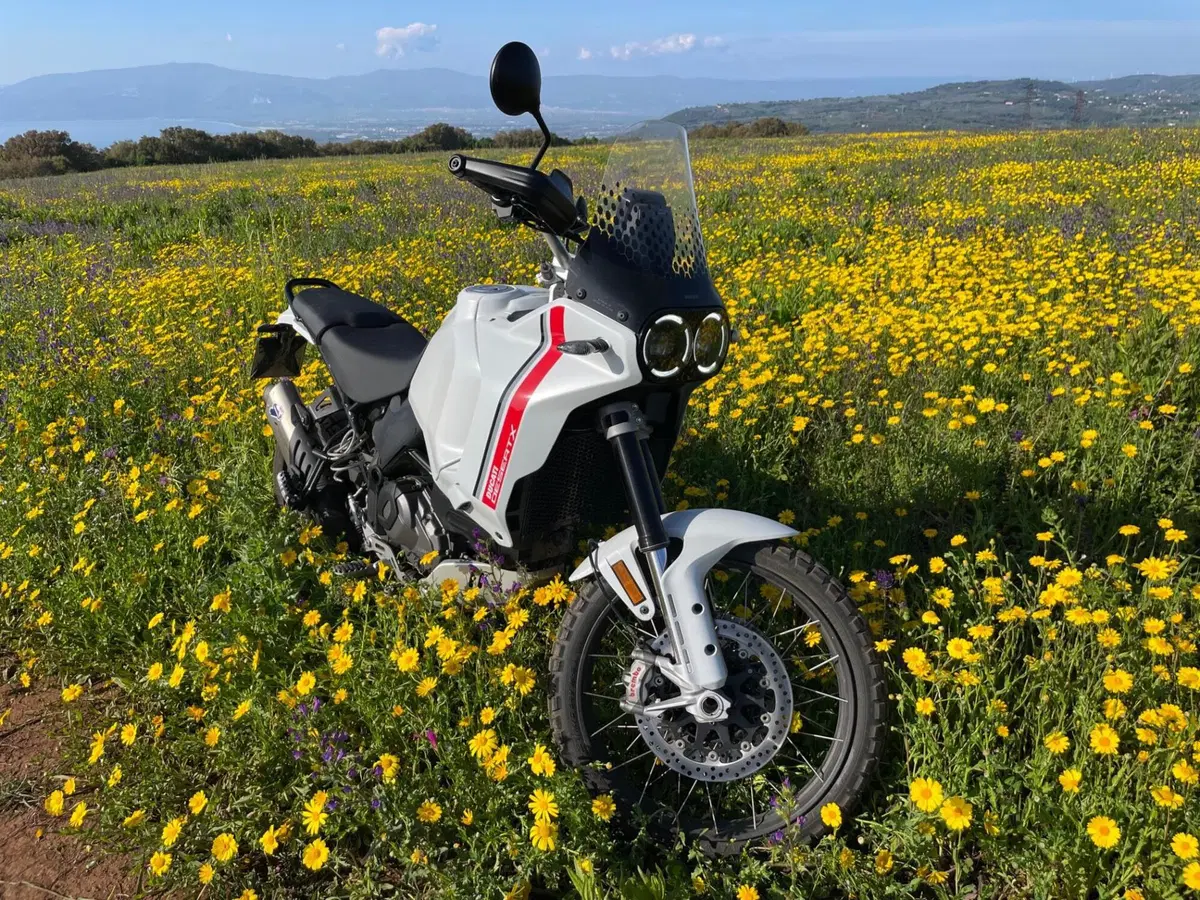Ducati DesertX (2022 - 25) (2)