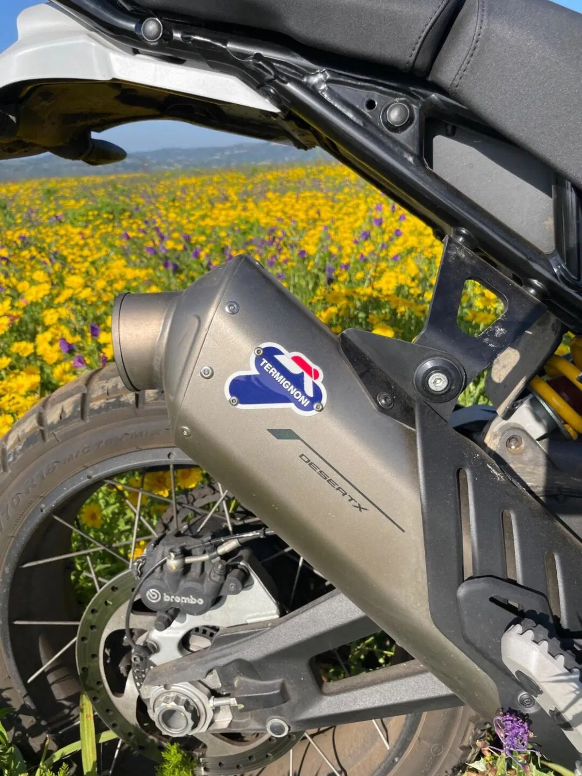 Ducati DesertX (2022 - 25) (6)