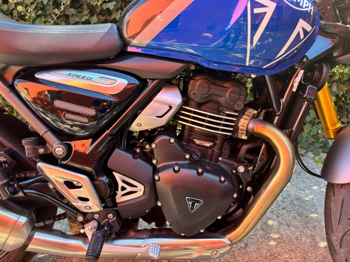 Triumph Speed 400 (2024 - 26) (2)