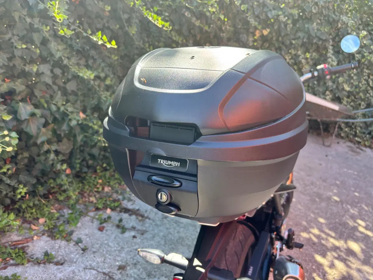 Triumph Speed 400 (2024 - 26) (4)