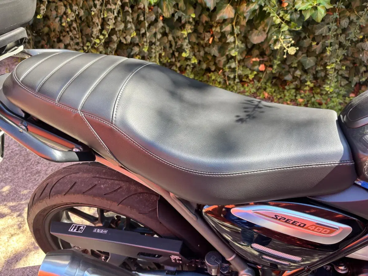 Triumph Speed 400 (2024 - 26) (5)